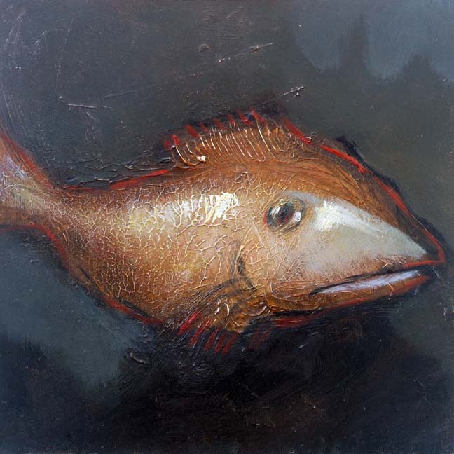 sealife_01