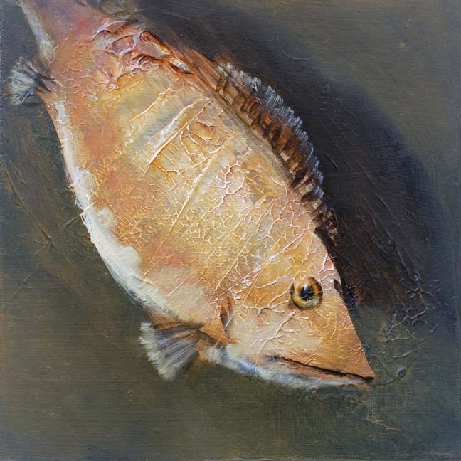 sealife_04