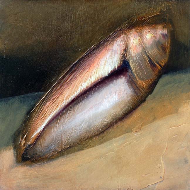 sealife_09