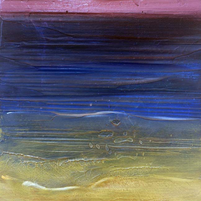 sealife_15