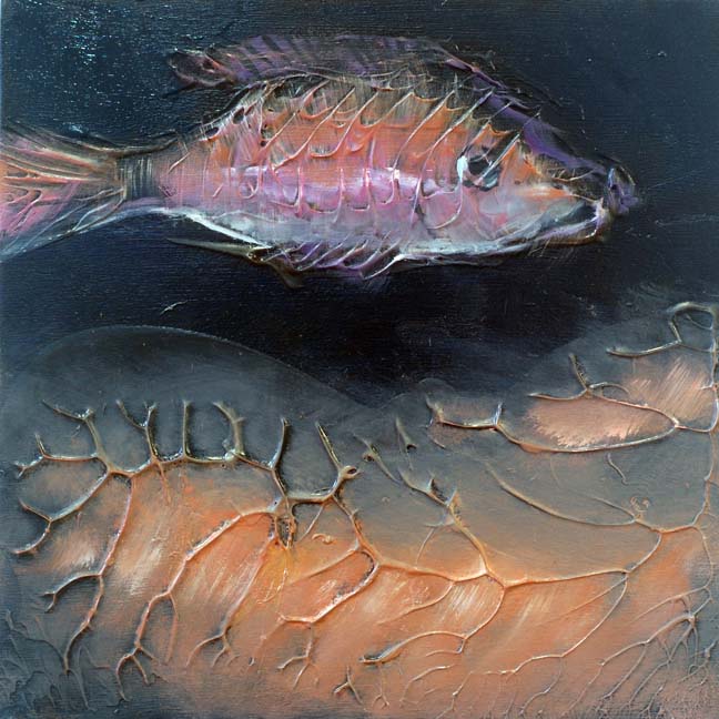sealife_23