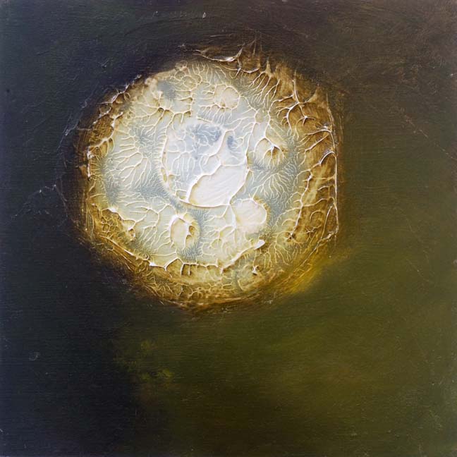 sealife_28