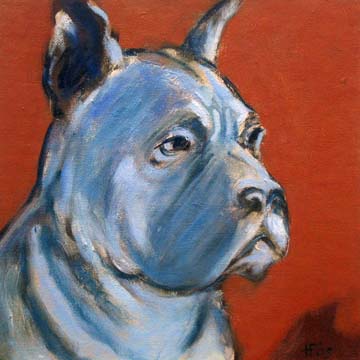 04_boxer