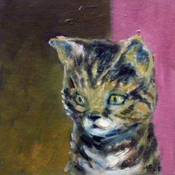 09_cat