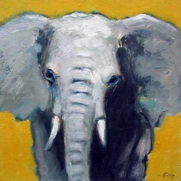 11_elephant