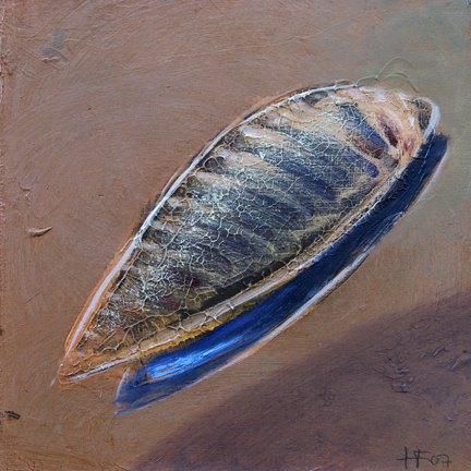 sealife_15