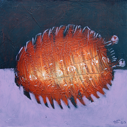sealife_30