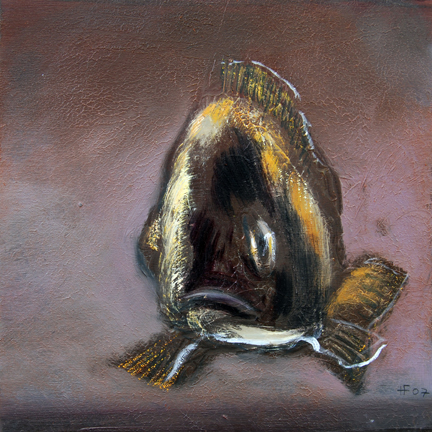 sealife_33