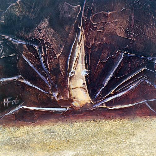 Fossil_35