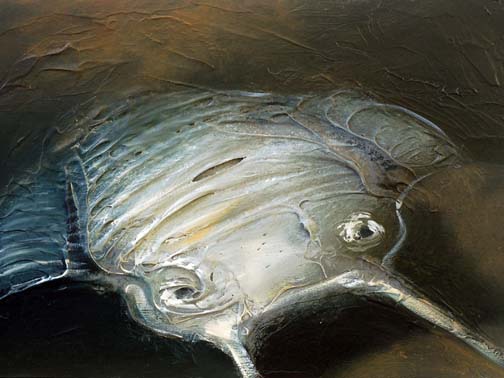 Fossil_54