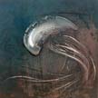 Fossil_21