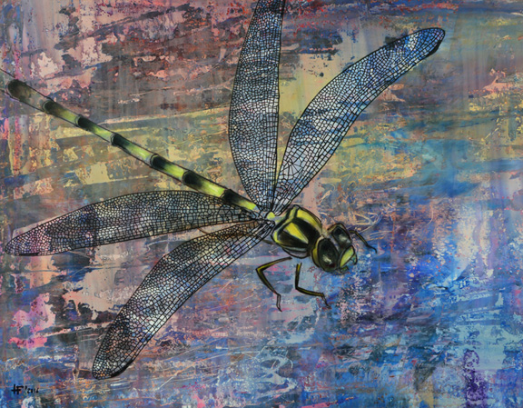 Dragonfly