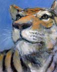 tiger_L