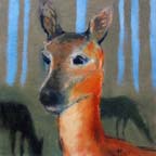 12_deer