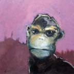 13_chimpanzee